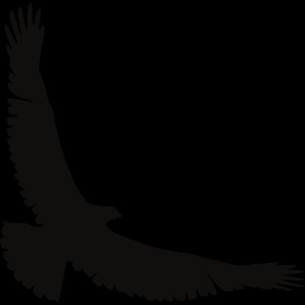 Eagle   Clipart 2 Thumbnail